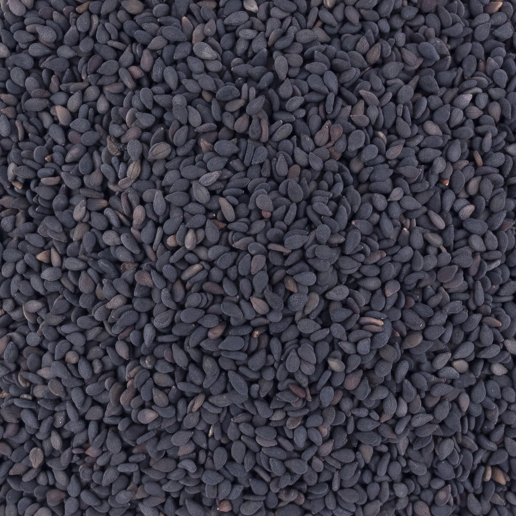 Graines de sésame noir 227g Coq – Achat & Bienfaits nutritifs Contenance  227g