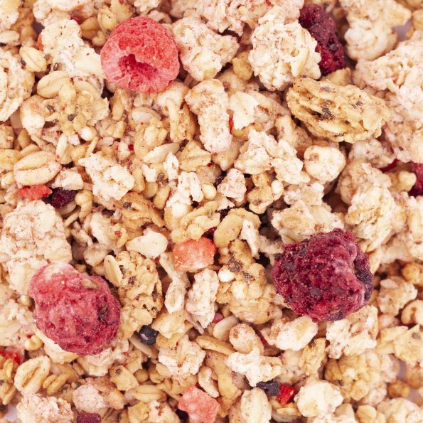 61018-granola-fruits-des-bois